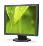 NEC Desktop Monitor, 19