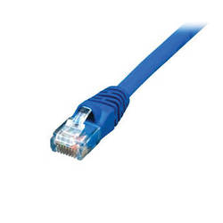 CAT5-10BLU-10VP