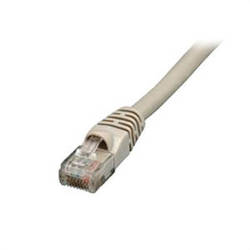 CAT5-10GRY-25VP